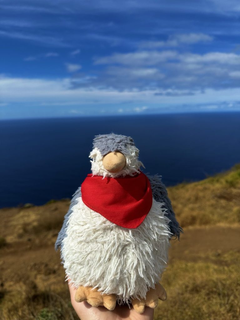 Madeira light house