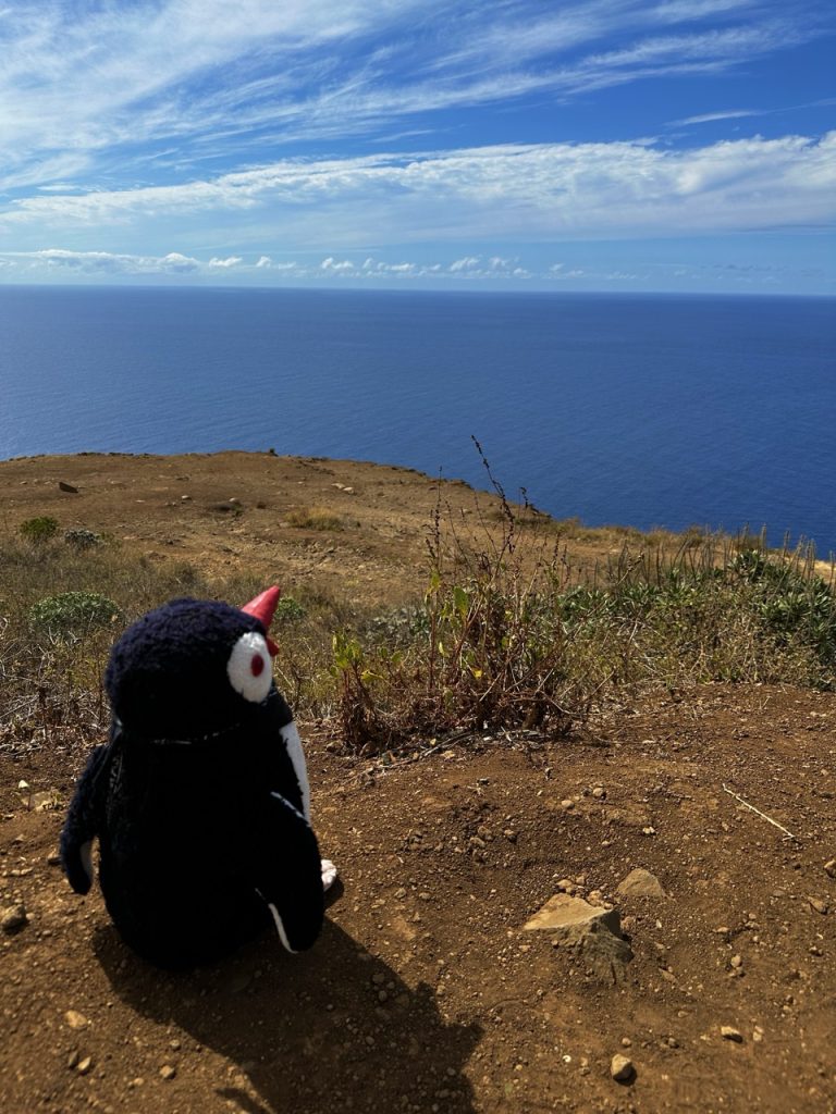 Madeira light house