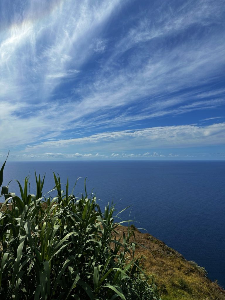 Madeira light house