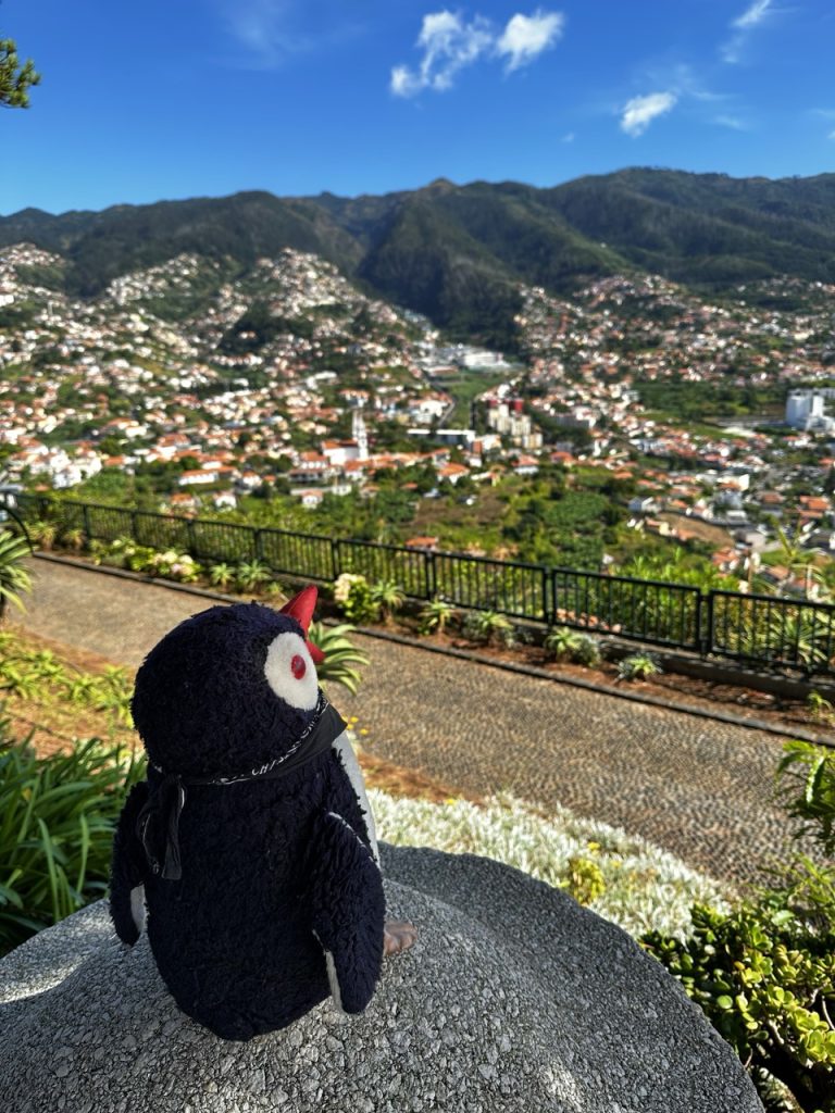Madeira miradouro barcelos