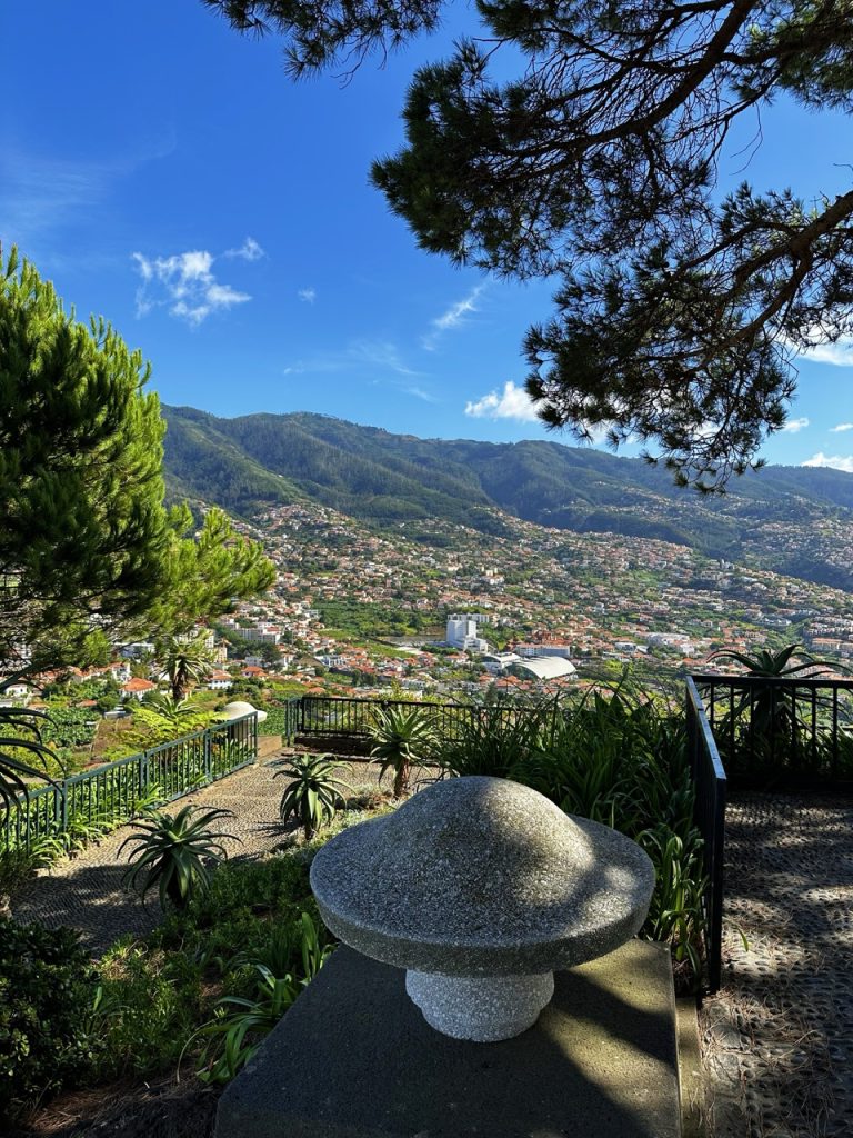Madeira miradouro barcelos