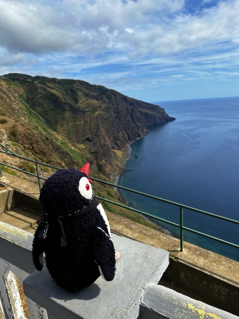 Madeira miradouro fio