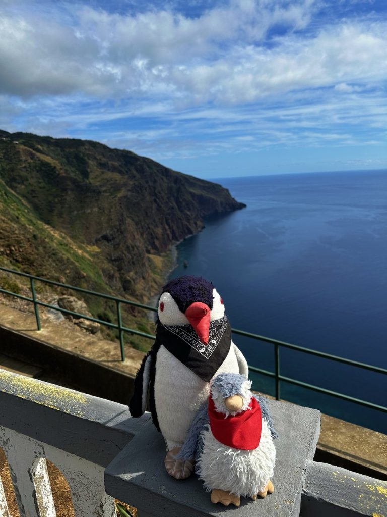 Madeira miradouro fio