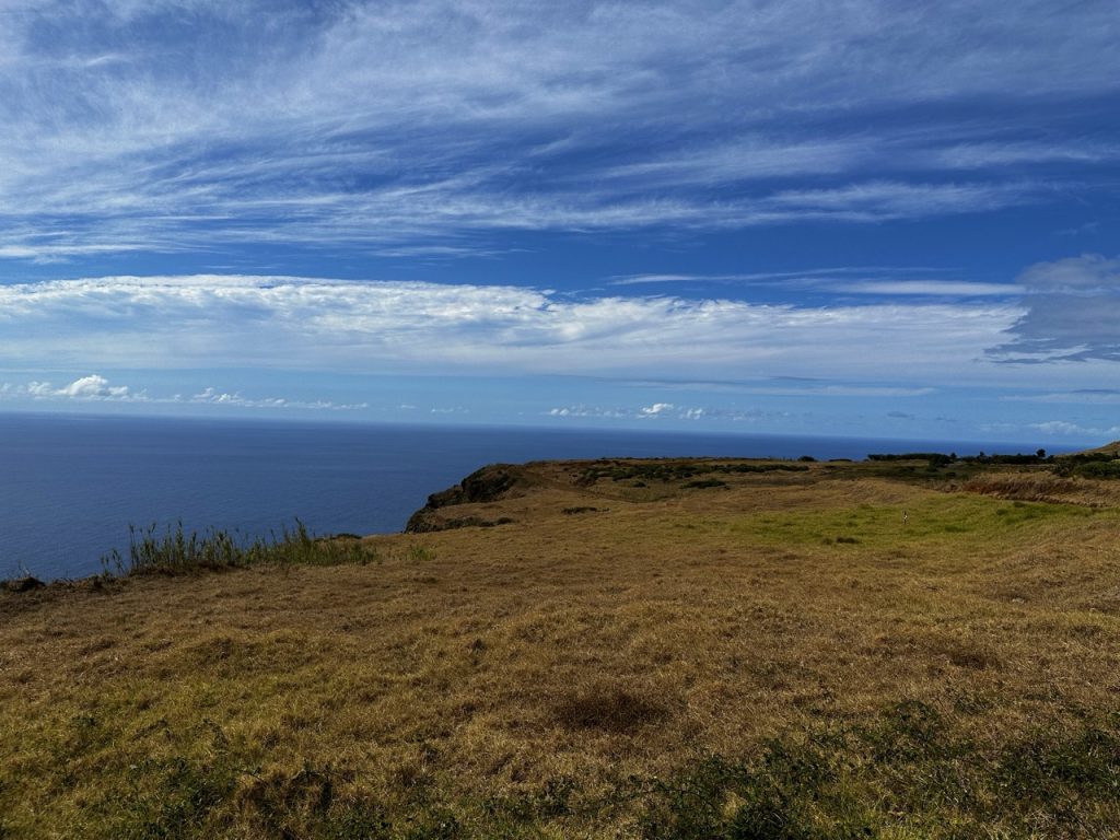 Madeira miradouro fio