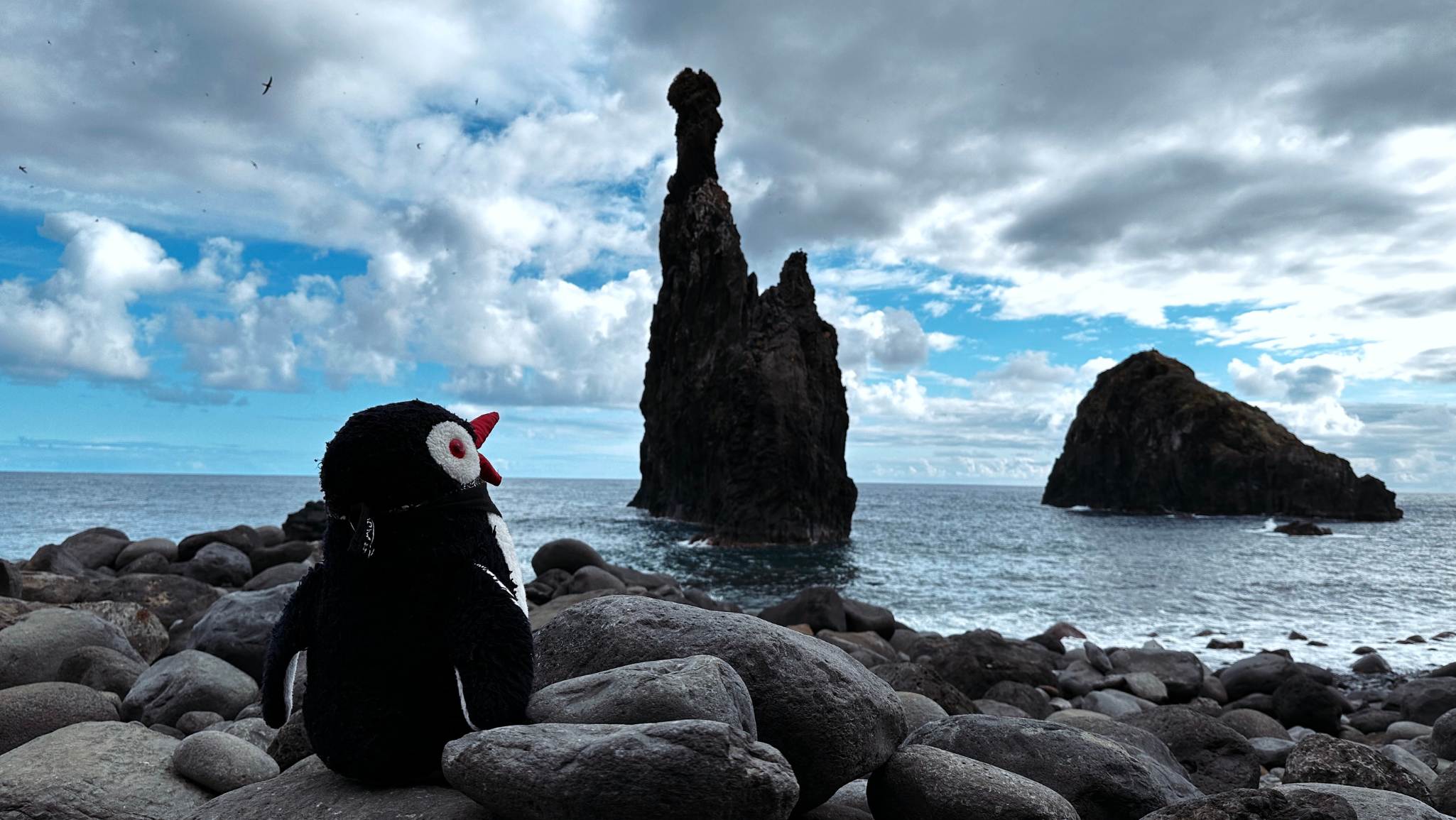 Madeira rock formation