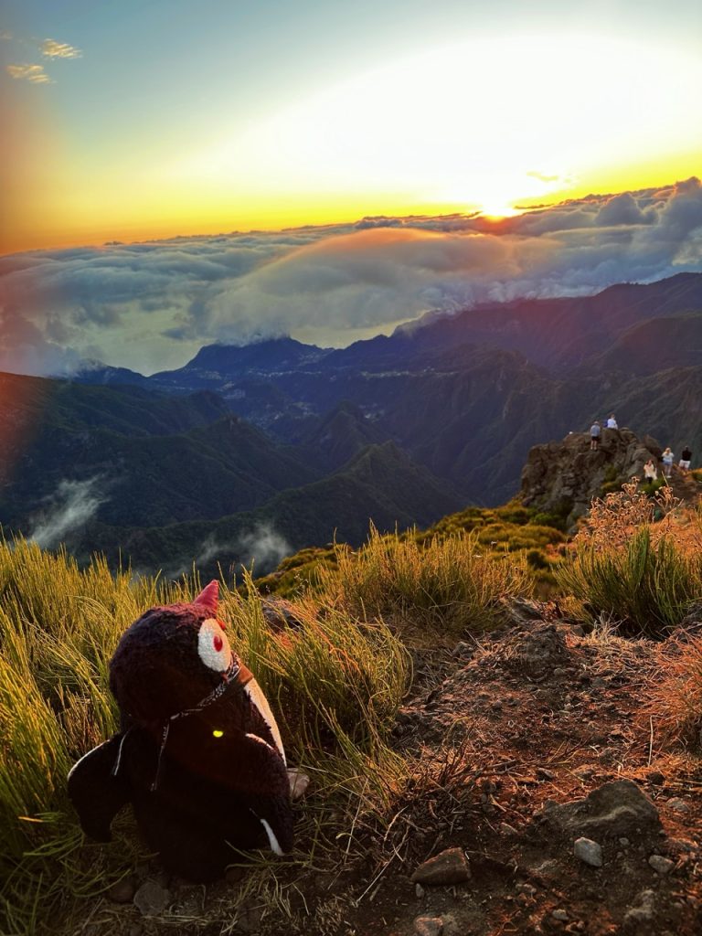 Madeira Sunrise