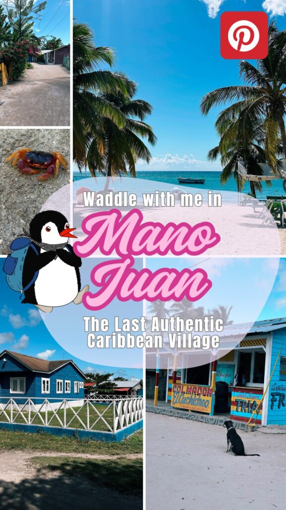 Mano Juan: The Last Authentic Caribbean Paradise – follow Lifeguin on Pinterest