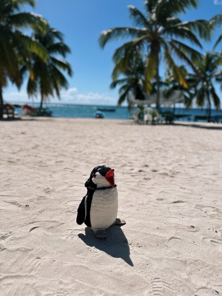 Manu Juan saona island dr