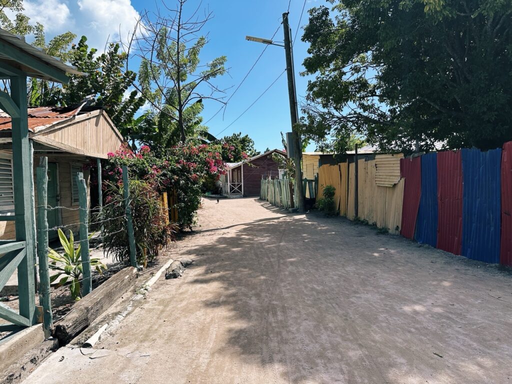 Manu Juan saona island dr