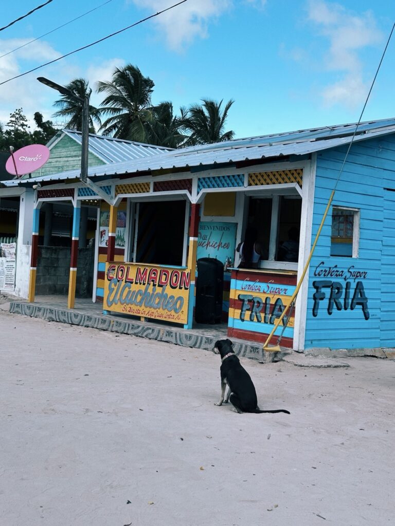 Manu Juan saona island dr