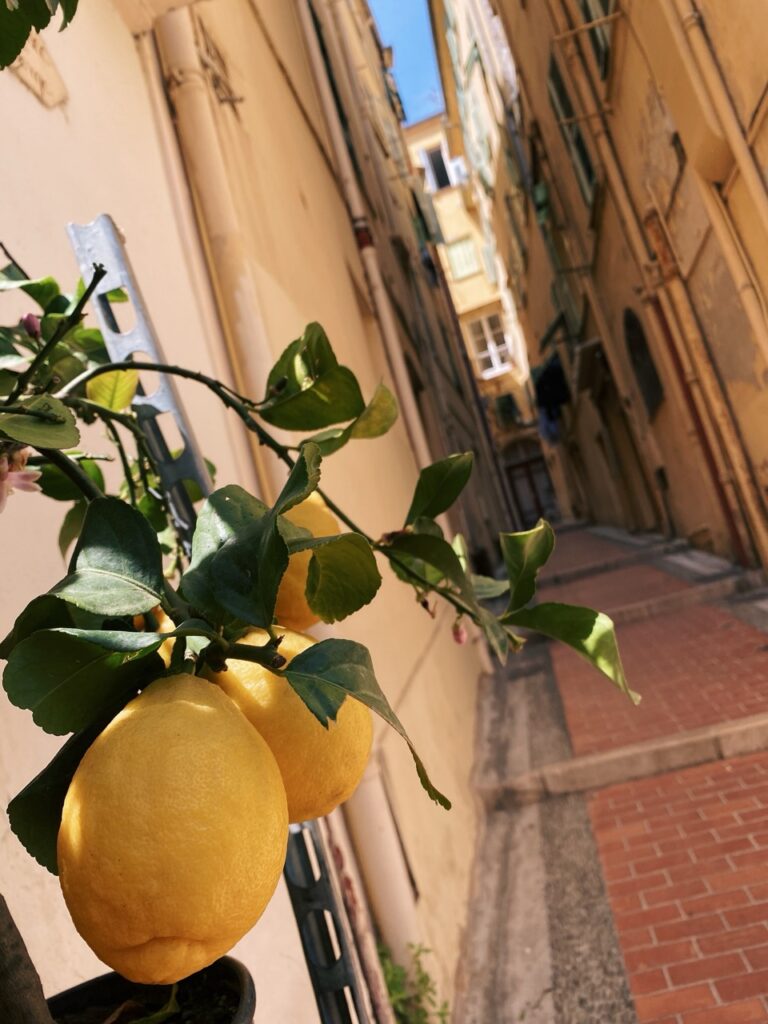 Menton France