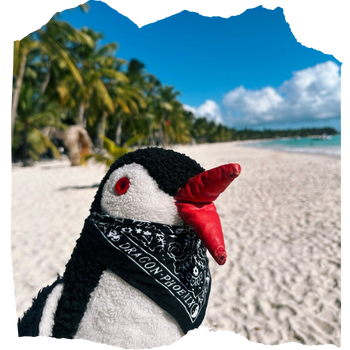 Miško the plush penguin wearing a black bandana on a tropical sandy beach