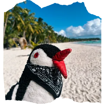 Miško the plush penguin wearing a black bandana on a tropical sandy beach