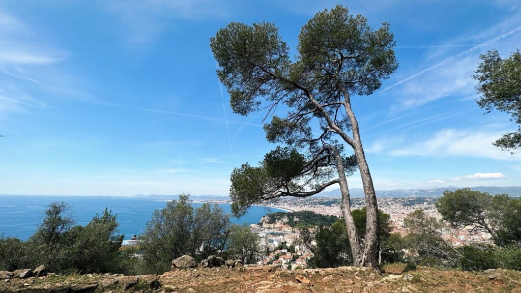 Mont Boron nice france