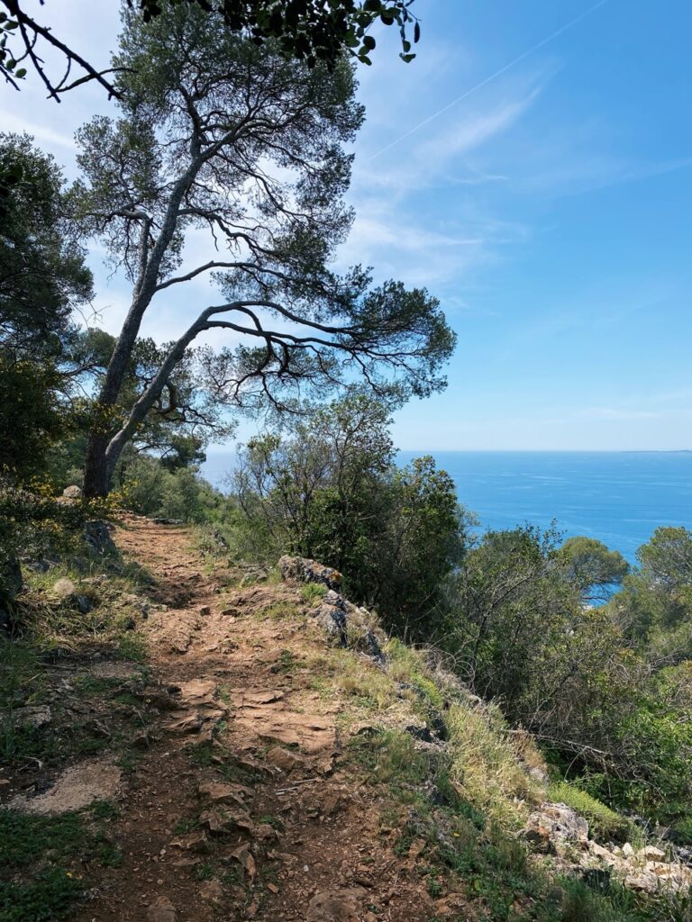 Mont Boron nice france