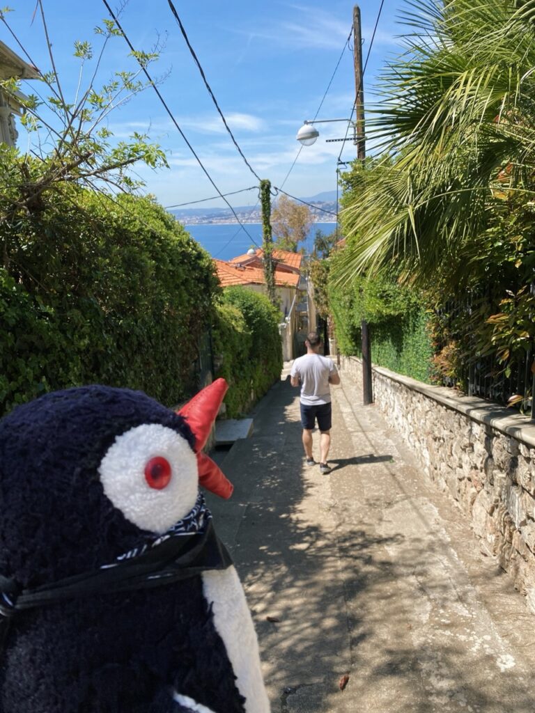 Mont Boron nice france