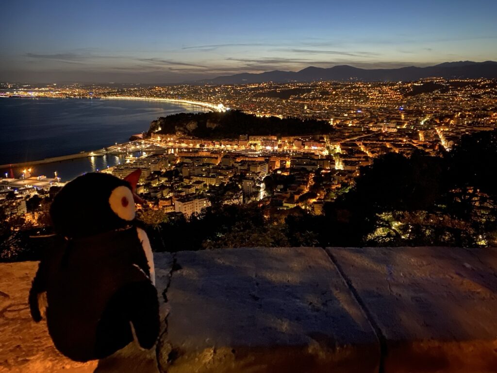 Mont Boron night view