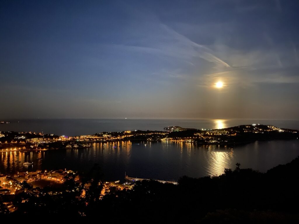 Mont Boron night view