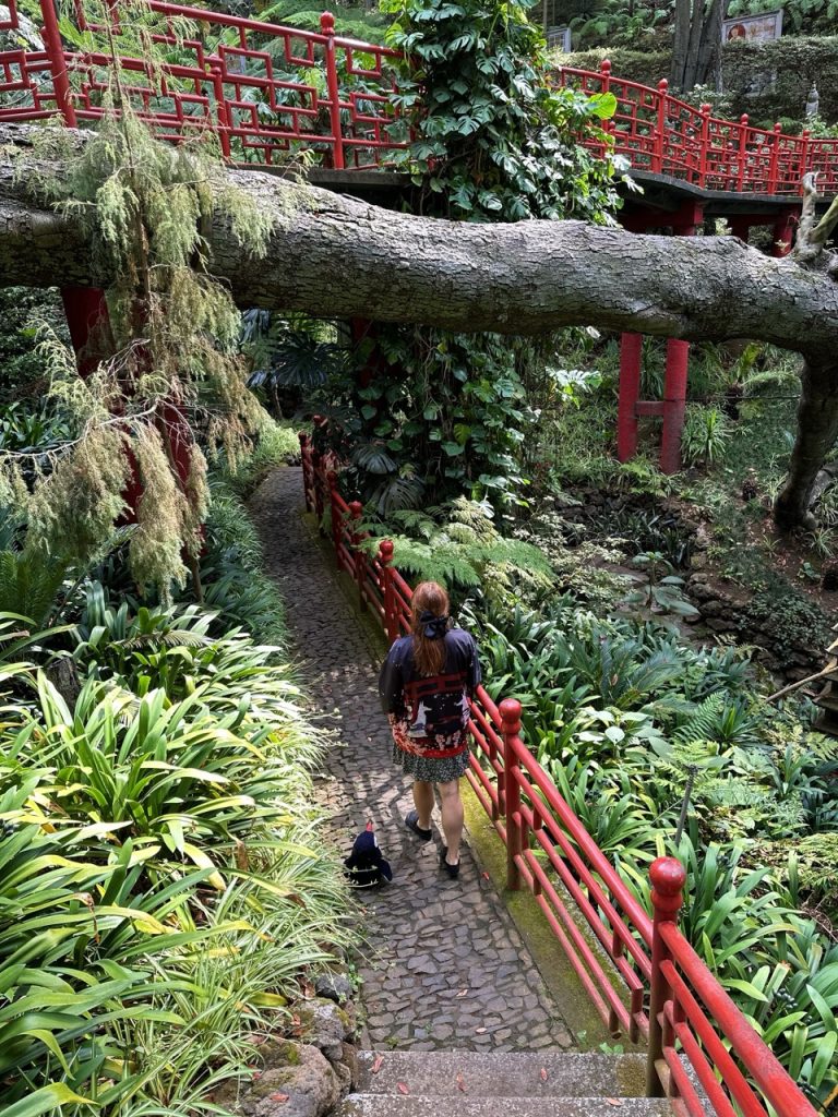 Monte Tropical garden Funchal