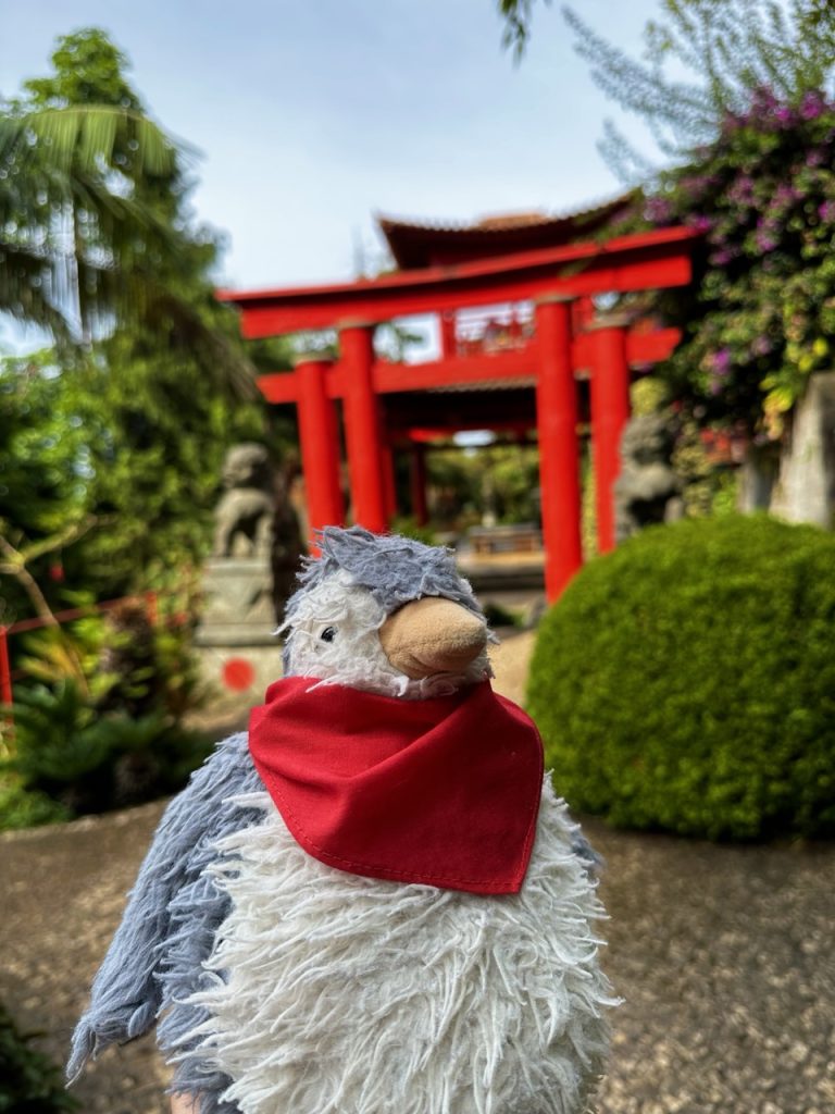 Monte Tropical garden Funchal