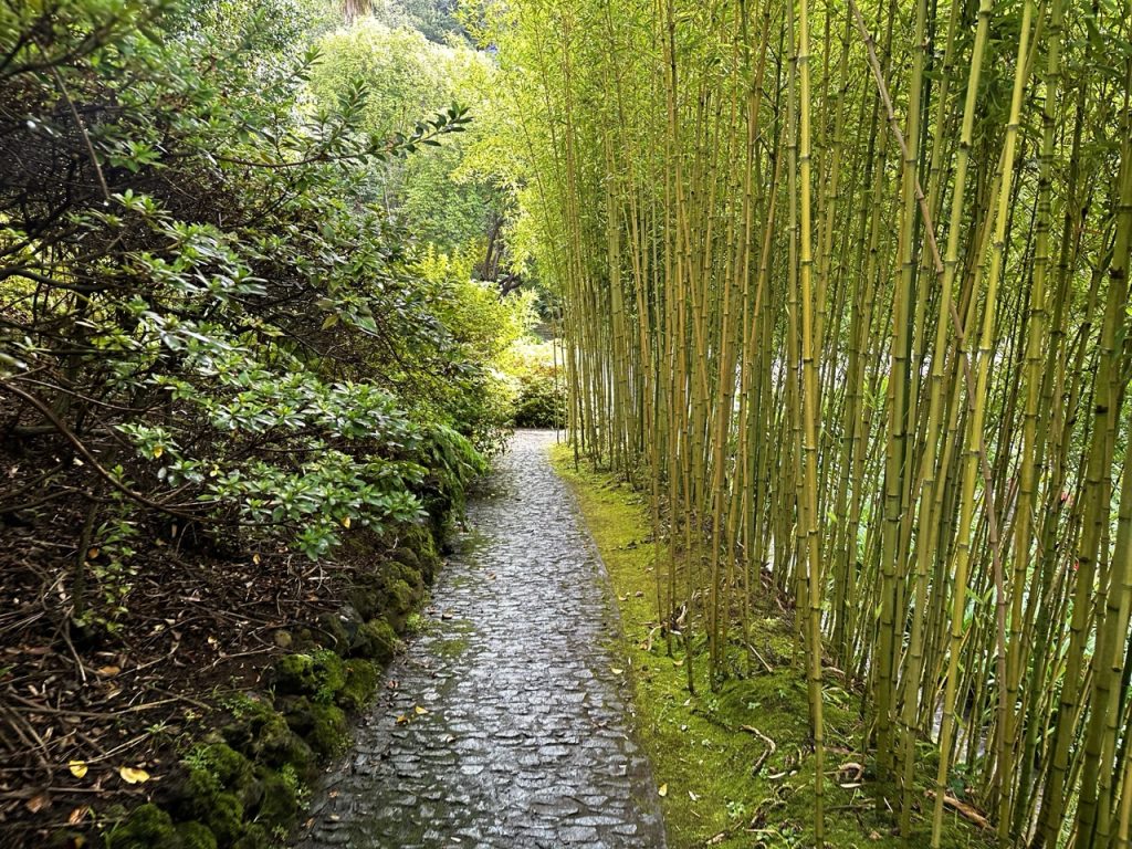 Monte Tropical garden Funchal