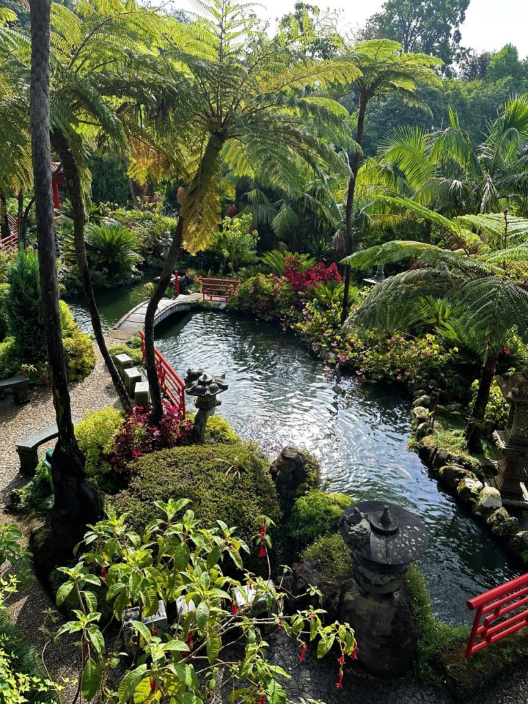 Monte Tropical garden Funchal