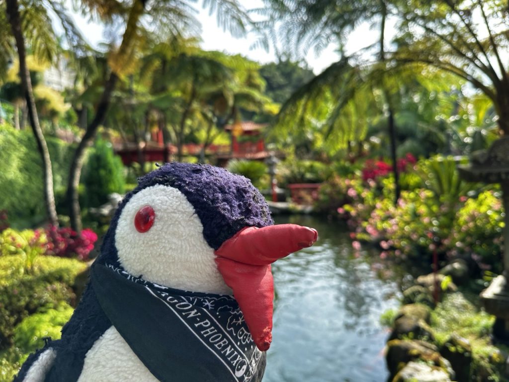Monte Tropical garden Funchal