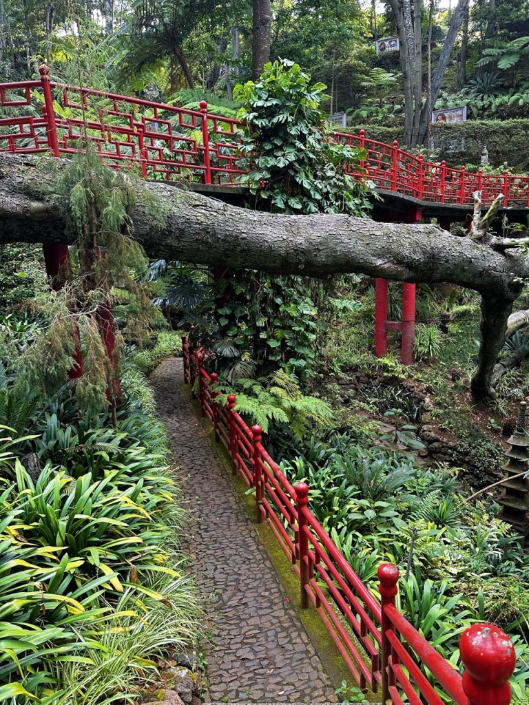 Monte Tropical garden Funchal