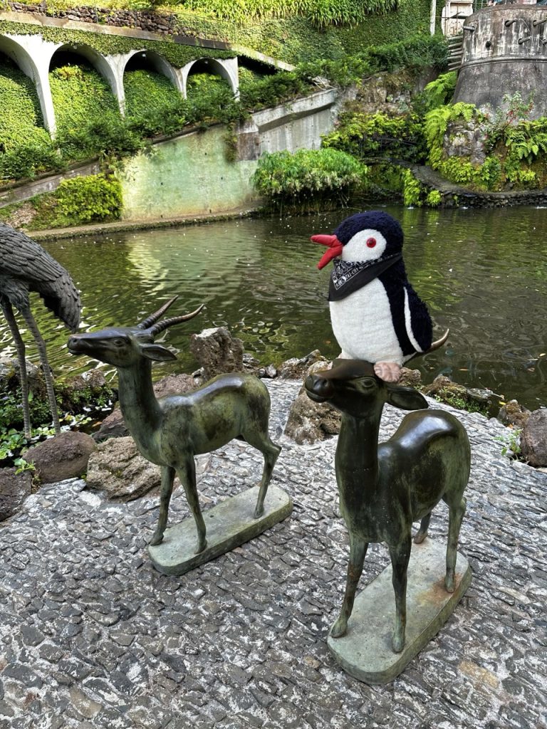 Monte Tropical garden Funchal
