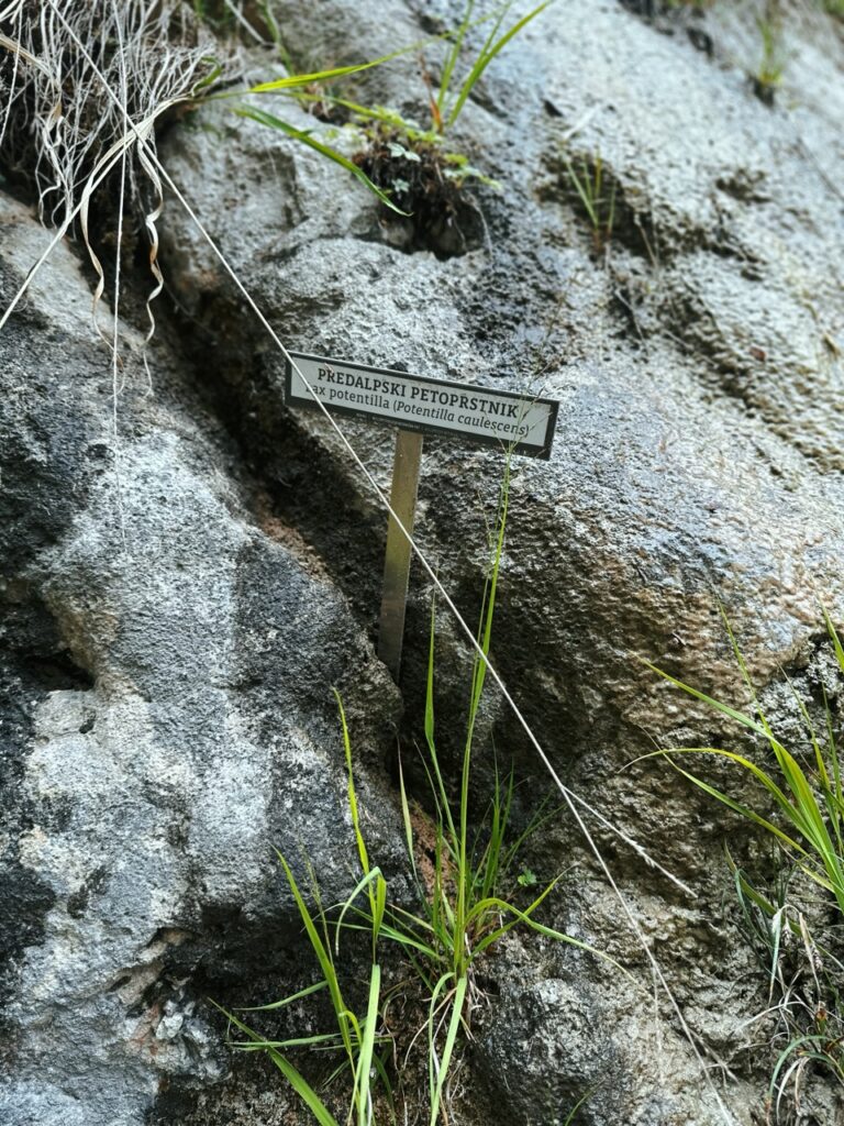 Mostnice Waterfall hike