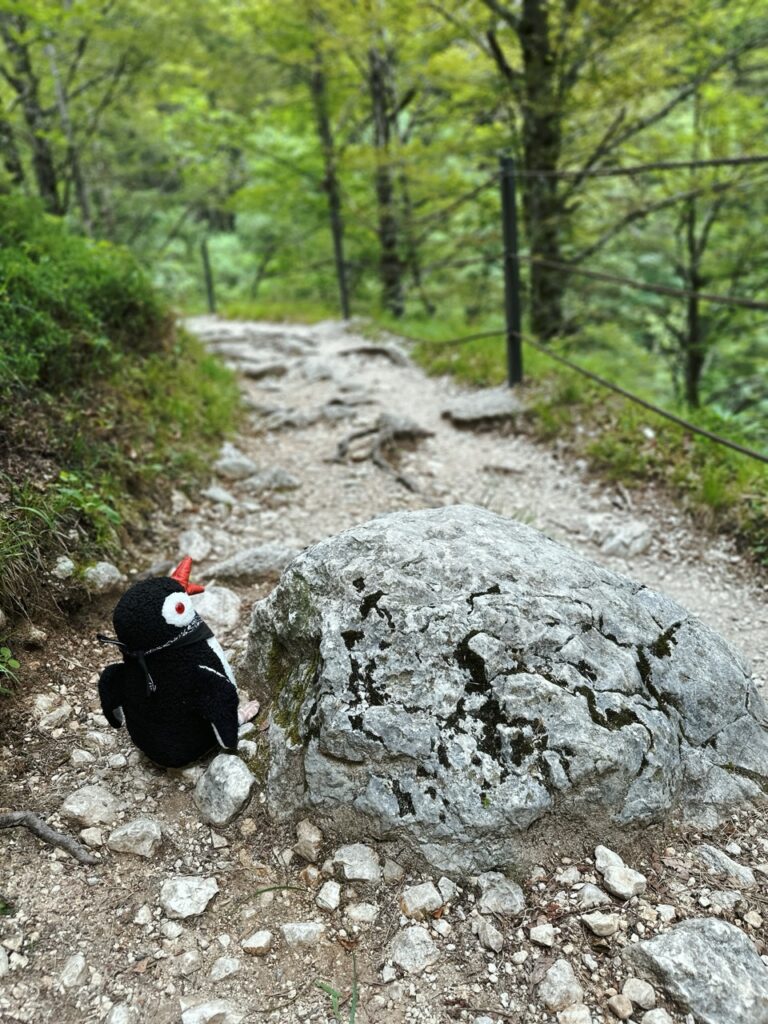 Mostnice Waterfall hike