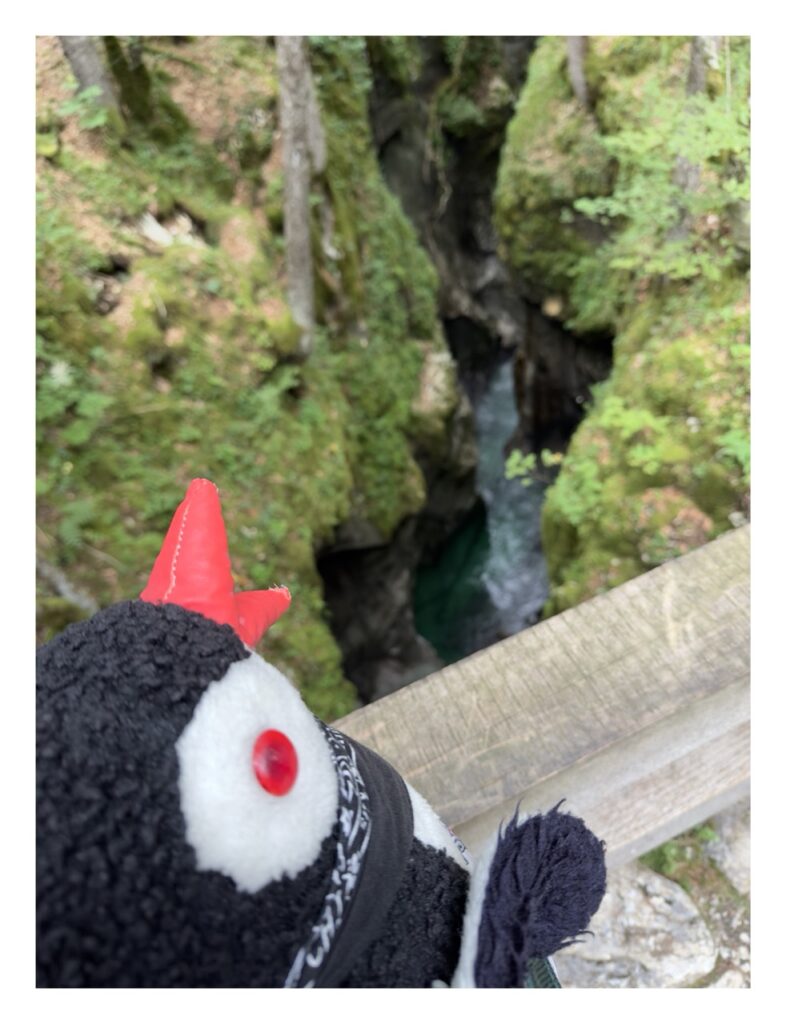 Mostnice Waterfall hike