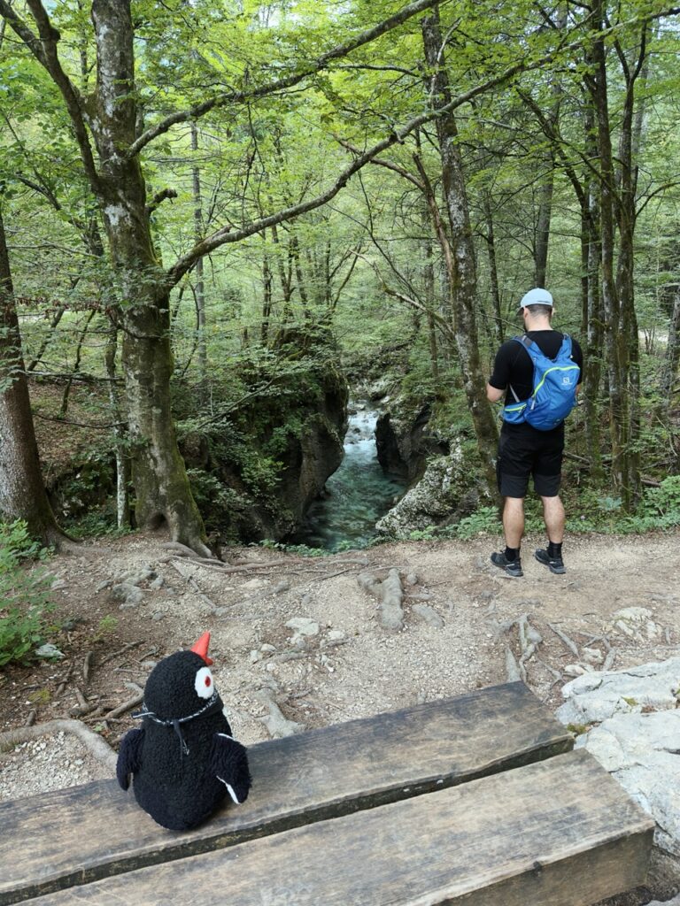 Mostnice Waterfall hike