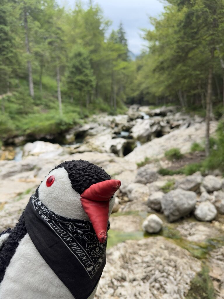 Mostnice Waterfall hike