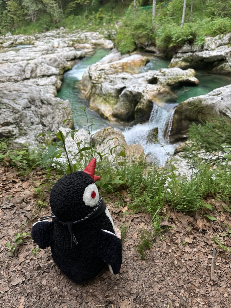 Mostnice Waterfall hike
