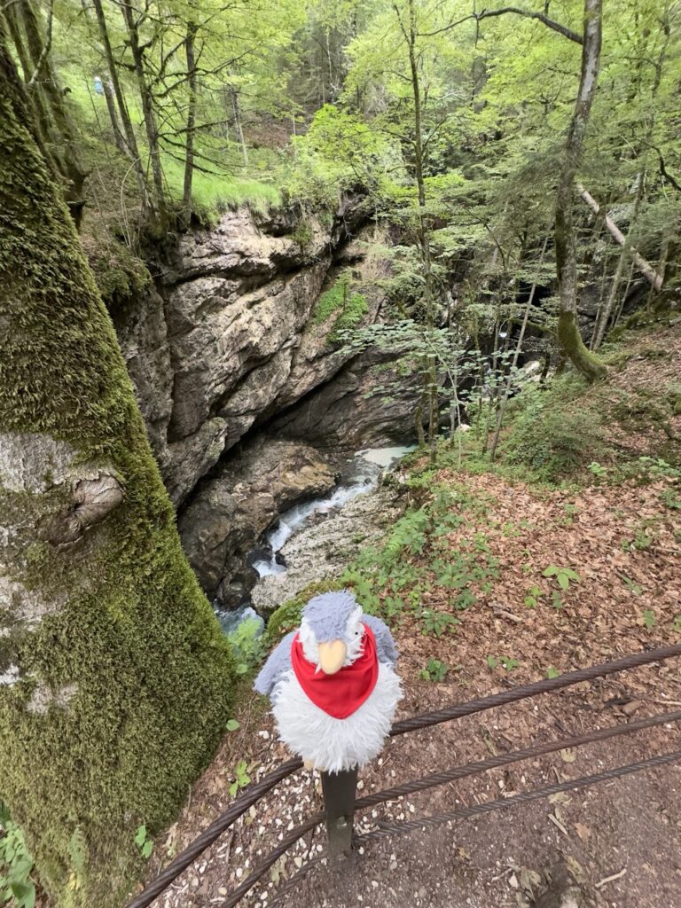 Mostnice Waterfall hike