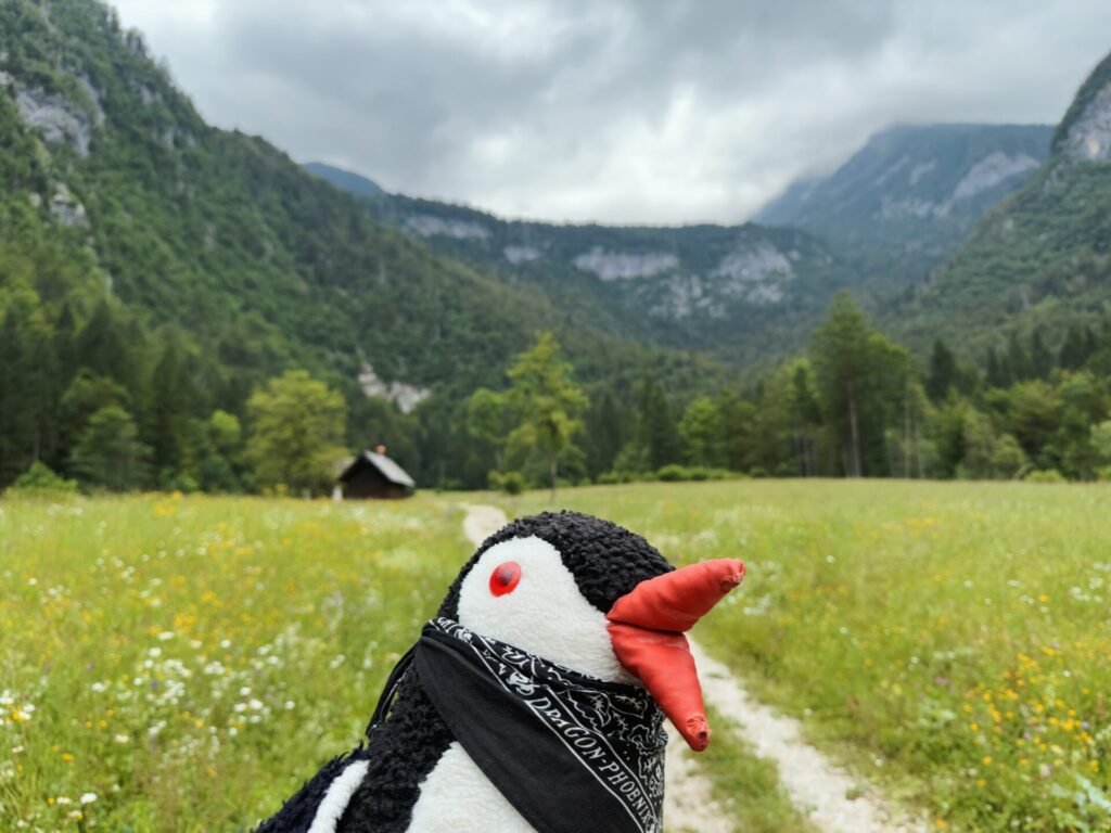 Mostnice Waterfall hike