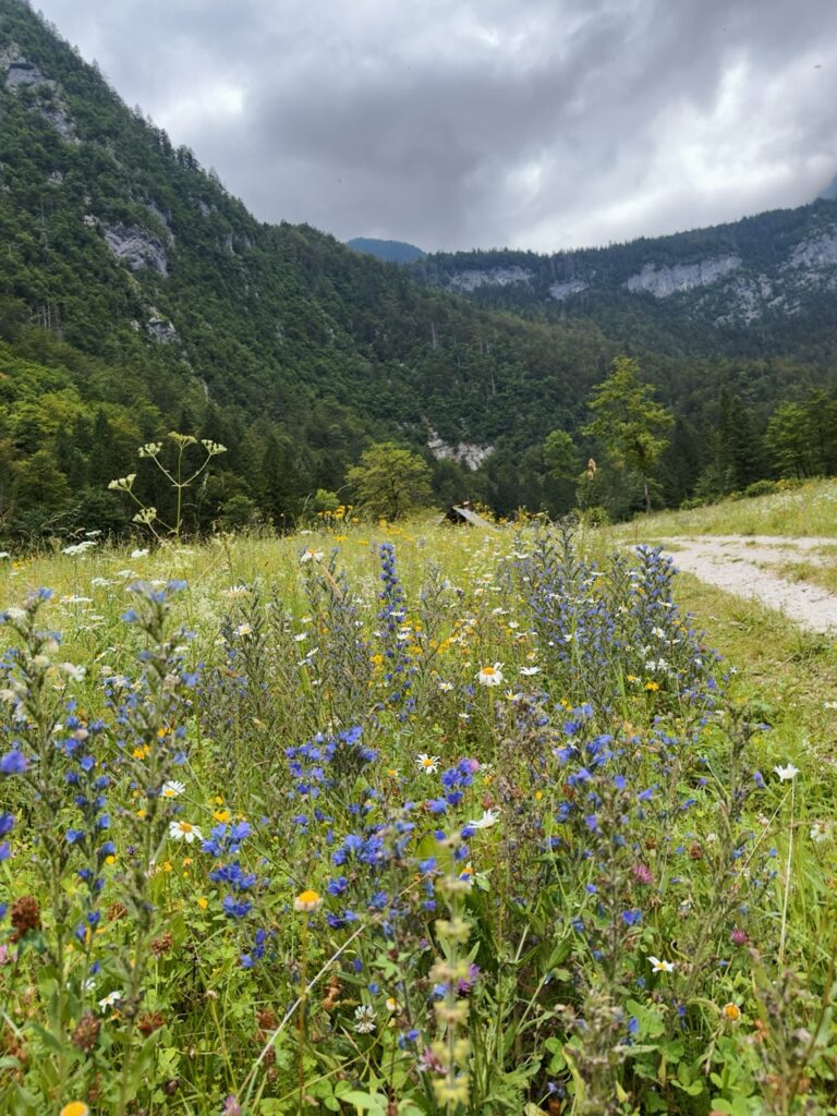 Mostnice Waterfall hike