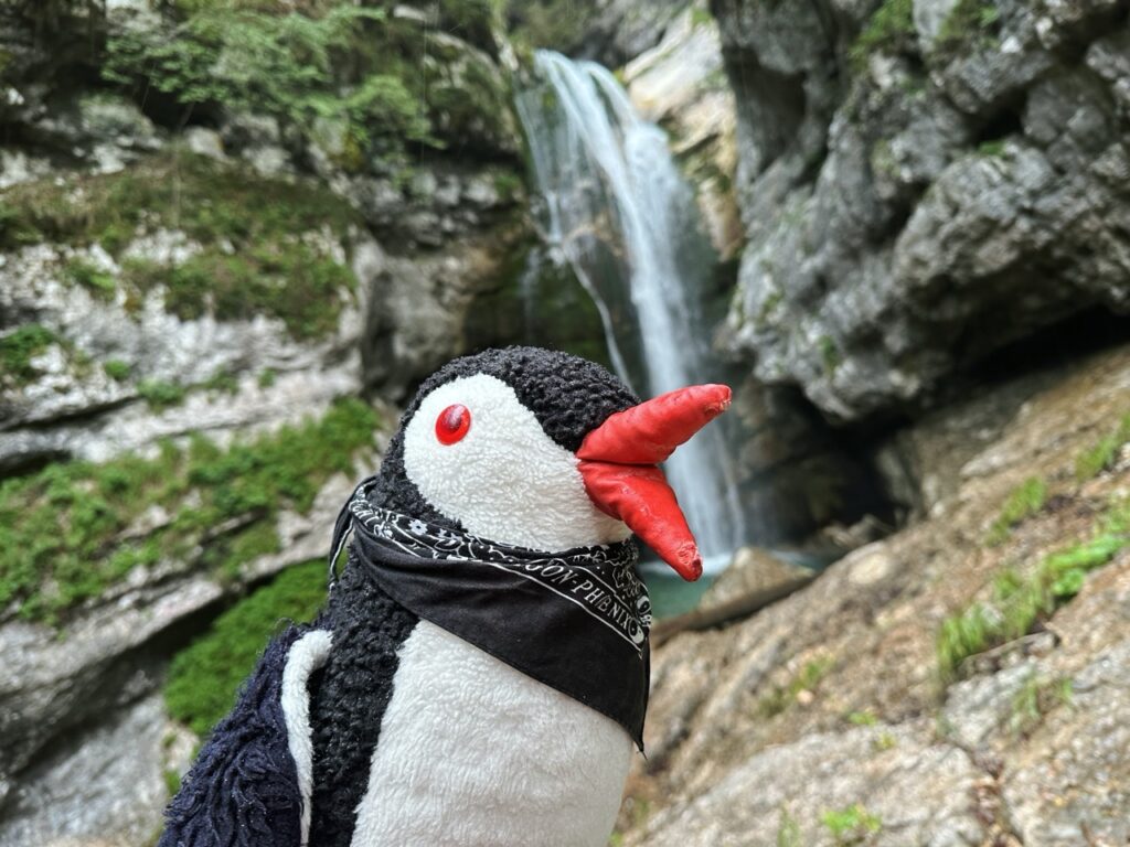 Mostnice Waterfall hike