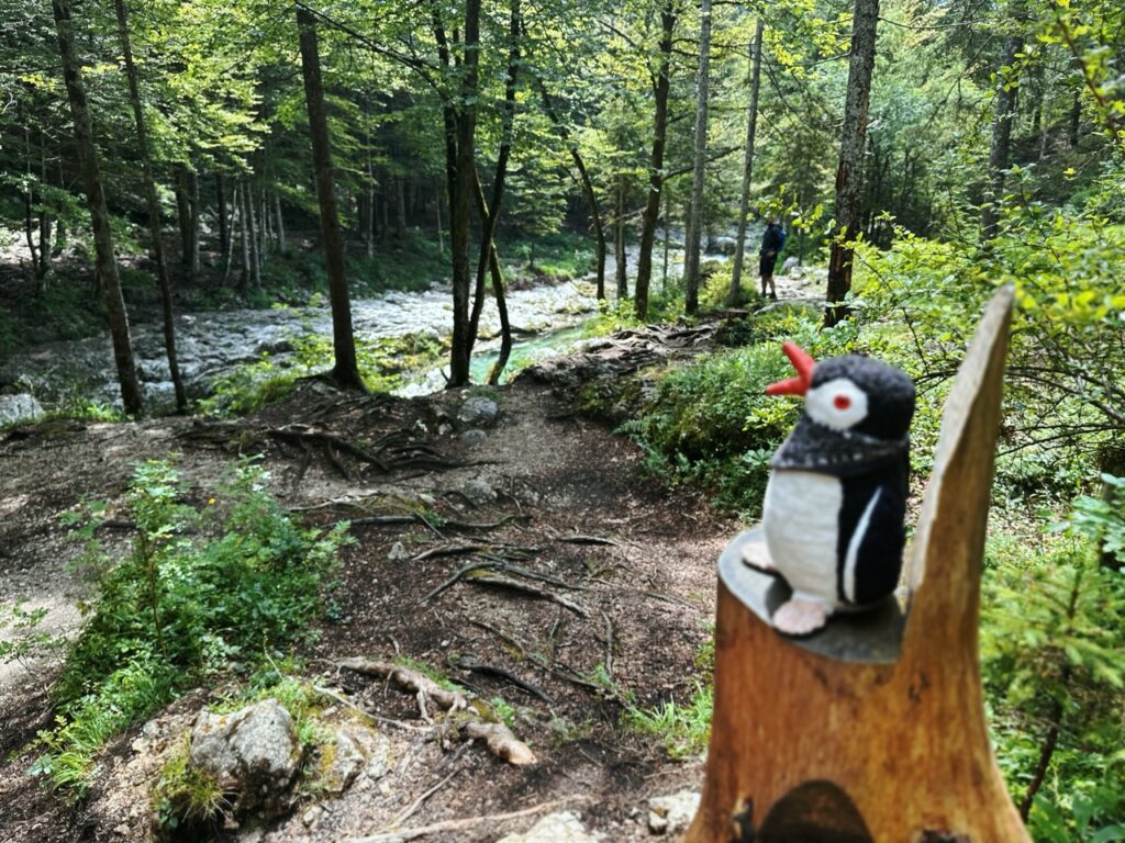 Mostnice Waterfall hike