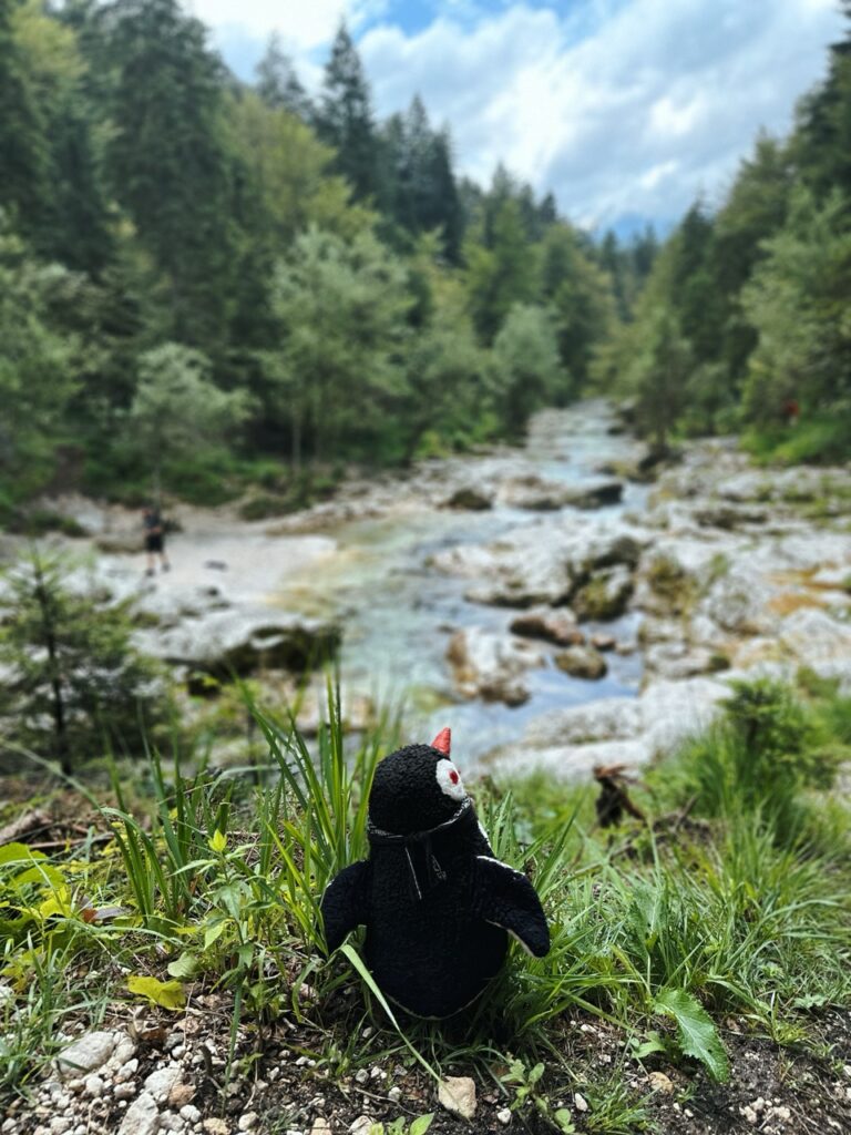 Mostnice Waterfall hike