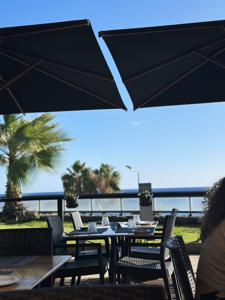 Muralha terrace madeira