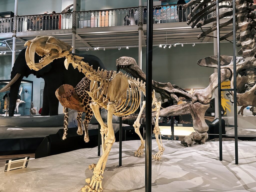 National Museum Scotland Edinburgh