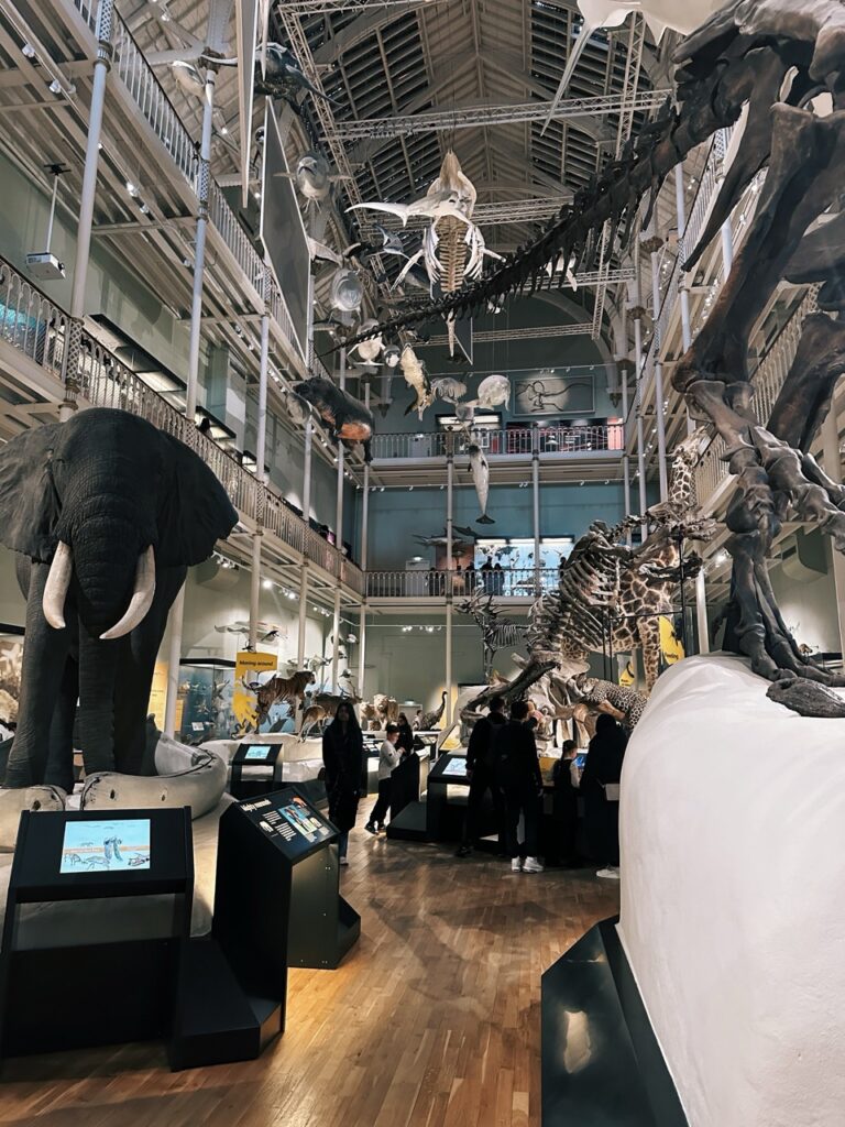 National Museum Scotland Edinburgh