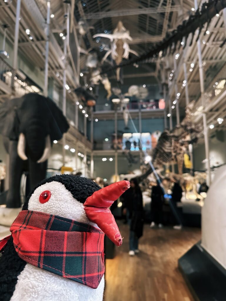 National Museum Scotland Edinburgh