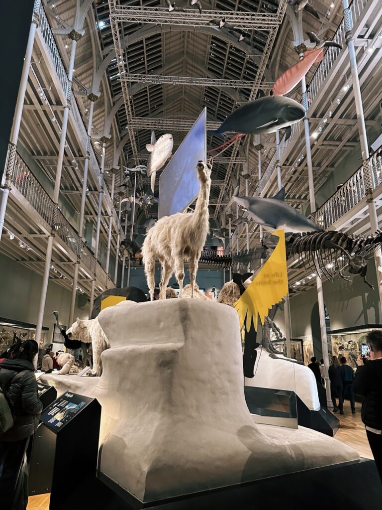 National Museum Scotland Edinburgh