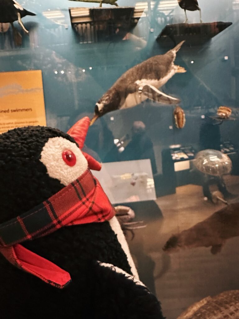 National Museum Scotland Edinburgh