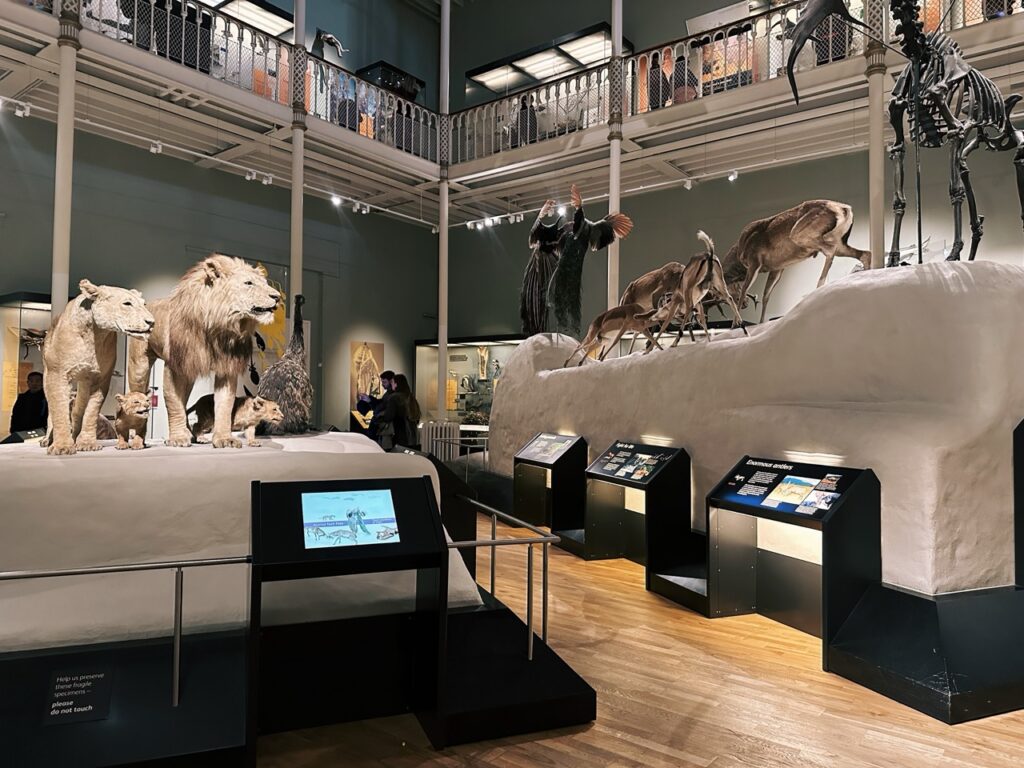 National Museum Scotland Edinburgh