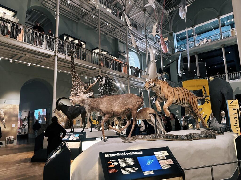 National Museum Scotland Edinburgh