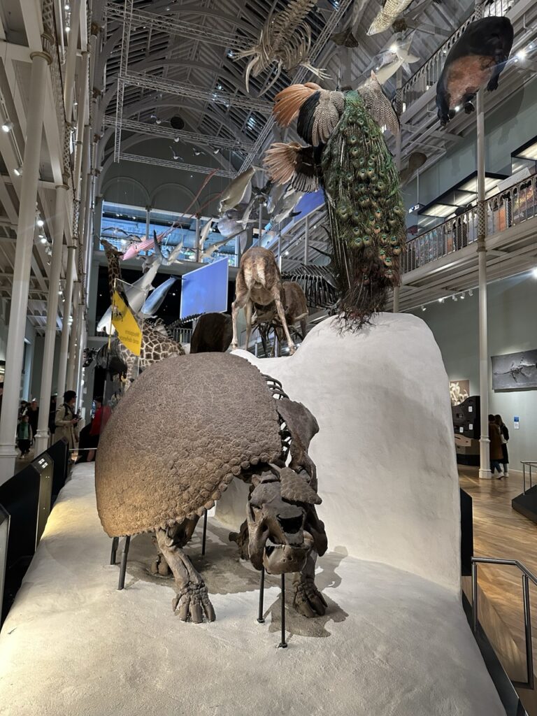 National Museum Scotland Edinburgh